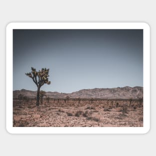 Joshua Tree Landscape Photo V3 Sticker